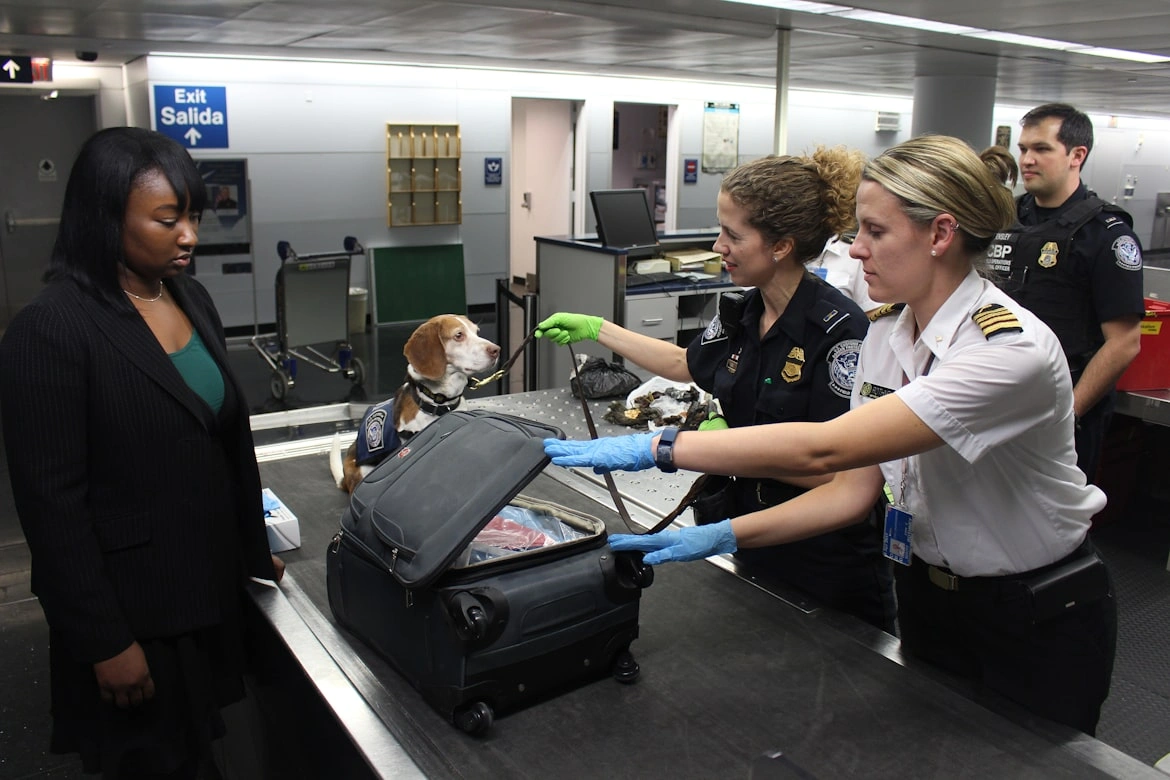 at chicago o'hare international airport airport officers checking for possible banned item in baggage claim