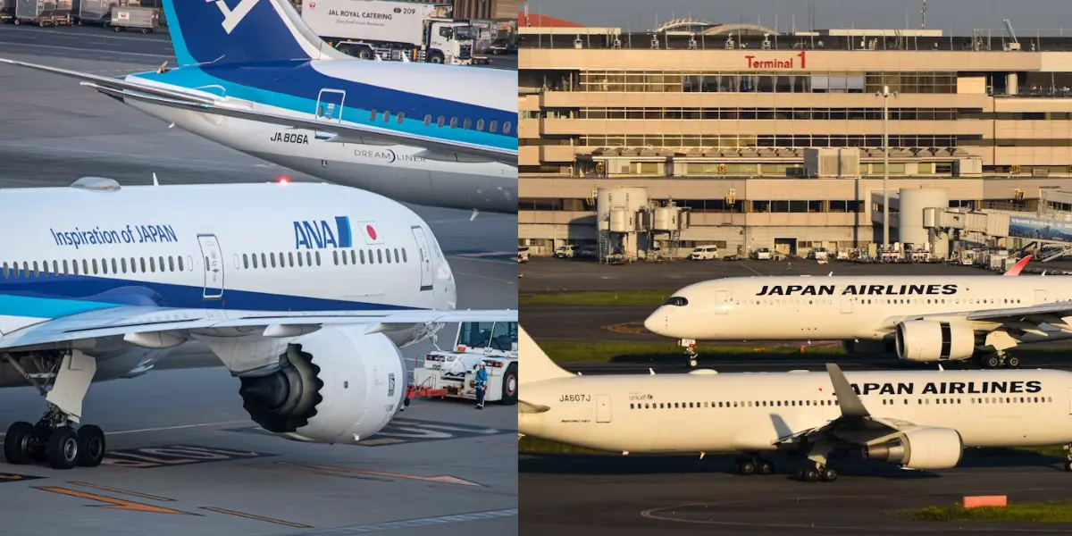 comparison of japan airlines (jal) sky suite and all-nippon airways (ana) the room