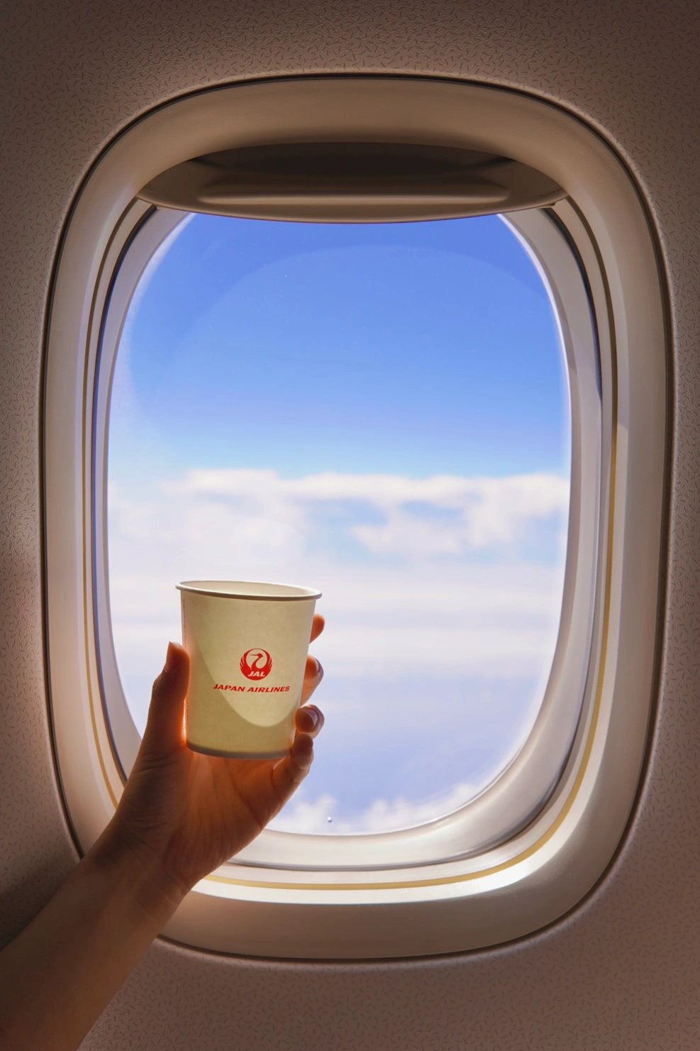 window view with a cup in japan airlines (JAL) meal program